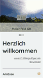 Mobile Screenshot of moehr-niggli.ch